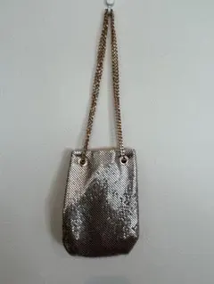 パーティーバッグ　チャオパニック