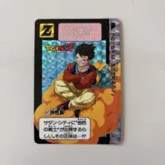 カードダス ドラゴンボールZ 孫悟飯 プリズム - メルカリ