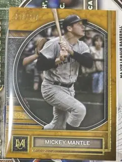 2026年最新】ミッキーマントルの人気アイテム - メルカリ