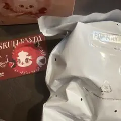 え*ぃ様 SKULLPANDA You Found Me ミニバッグ　chomp