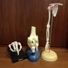 わにゃん様 リクエスト 3点 まとめ商品