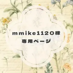 mmike1120様 リクエスト 2点 まとめ商品
