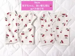 Item thumbnail for item f9c94ec5-1cd9-4080-9b51-044998c3ab79