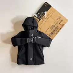 ノースフェイス Mini Mountain Jacket ブラック キーホルダー