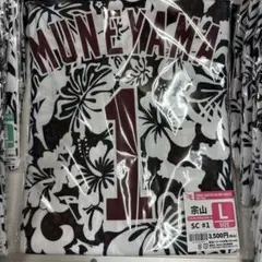 Item thumbnail for item df92a2ce-2517-4162-b920-ca600f61c38c