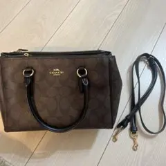 最終値下げ￼⭐︎COACH ダーシー キャリーオール 2WAYバッグ 