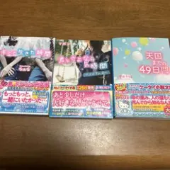 青春携帯小説3冊セット