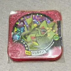 ポケモン トレッタ　マスター ジュカイン Bタイプ