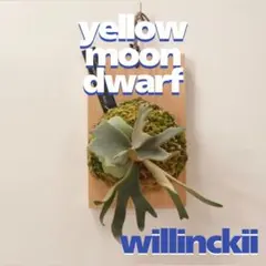 P. Willincki Yellow Moon dwarf totoro＊ - メルカリ