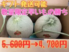 【数量限定】夕張メロン共撰品優品2玉　1玉1.6kg前後　※掲載は関東価格のサムネイル