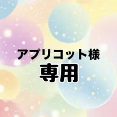 アプリコット様 専用2