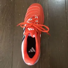 フェンシングシューズ ダルタニアン 新品未使用＋中古 2足セット 27.0