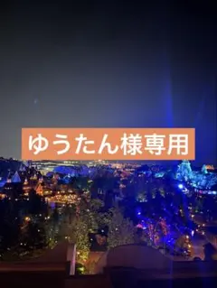 ゆうたん様専用ページ