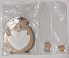 RIIZE シャカシャカアクリルチャーム　ソンチャン