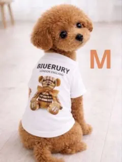 SNS映え♡ Mサイズ　くまプリント高見え犬服 伸縮性抜群Tシャツ　小型犬のサムネイル
