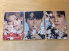 匿名配送　DFESTA seventeen セブチ　入場特典トレカ 寺田倉庫