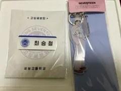 セブチseventeen エスクプス　アクスタ　ネームタグ　ゴセ　ケレン　セット