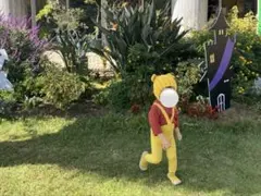 プーさんセット90サイズ ZARA赤ニット&ニット帽