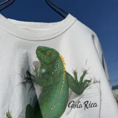 tucan tico コスタリカ製 アニマルTシャツ 白 US古着