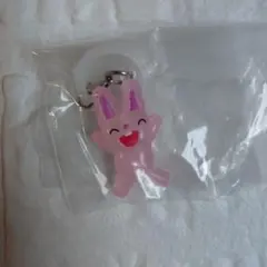 ノンタン めじるしアクセサリー2 うさぎさんＢ