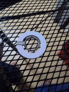 Item thumbnail for item 6a6144c7-0cd4-4550-a64a-9f855dd615ad