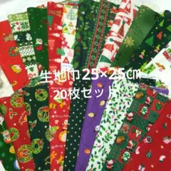 S9-29生地 ハギレクリスマス柄綿生地20枚セット 25×25cm
