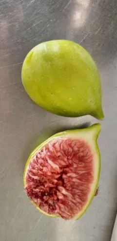 hayato1623様　専用出品