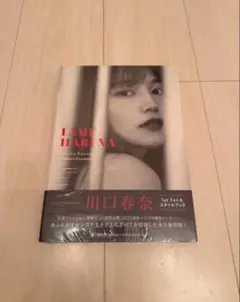 【新品未使用未開封】川口春奈 IAM HARUNA 写真集