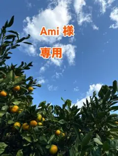 Ami 様　専用
