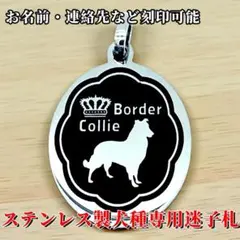 Item thumbnail for item 909f3a23-da30-4b5c-bdd2-80a234594734