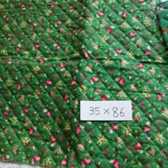 Item thumbnail for item e4f2a4b7-96cf-445d-8400-57c10c0920df