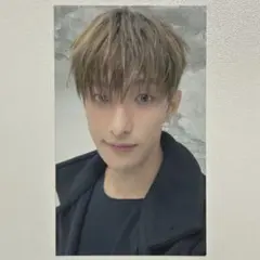 SEVENTEEN D×S Serenade ユニバ ドギョム トレカ ②