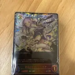 た*ー様 シャドウバースエボルヴ　ナイトメア　死者　荒野　NC　構築済み　デッキ Shadowverse EVOLVE Championship」（2024年9月3週）上位入賞者