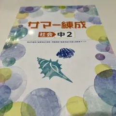 中2 社会 サマー練成 ステップアップ 講座テスト・解答・解説付き