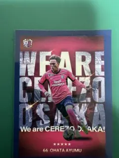 Item thumbnail for item 458cc35c-f710-4e13-8808-6dc7cd7c0b68