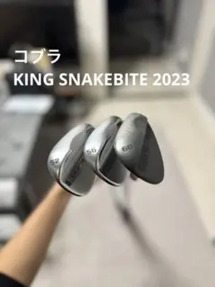 2025年最新】ウェッジ 52 56 60の人気アイテム - メルカリ