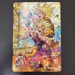 スーパードラゴンボールヒーローズ H2-16 CP 孫悟飯少年期 親子かめ