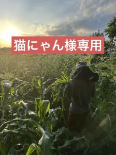猫にゃん様専用のサムネイル