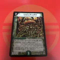 2026年最新】シビレアシダケ プロモの人気アイテム - メルカリ