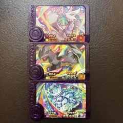 ポケモンフレンダ　スーパートレジャー　レシラム、ゼクロム、テラパゴス　テラスタル