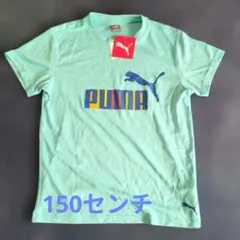 PUMA Tシャツ ライトブルー ロゴプリント