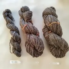 Item thumbnail for item deccdaf0-41aa-48a0-9a4d-31d65aef6d8d