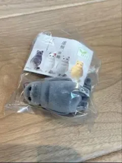 虚無　猫　纏　黒猫