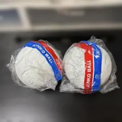 ナガセケンコー ケンコーボール 2個セット