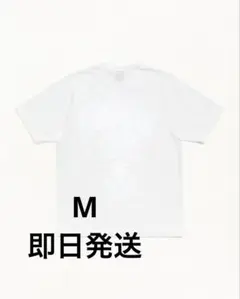 新品 AGEDD ポップソーダ Tシャツ トップス 半袖 サイズL ホワイト 
