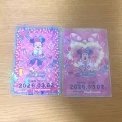 コレクションカード パルパルーザ ファンダーランド ミニー リゾラ