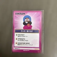 Duolingo VIKRAM キャラクターカード