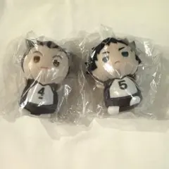 ハイキュー　もちもちマスコット たっち 木兎 赤葦