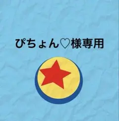 ぴちょん♡様専用