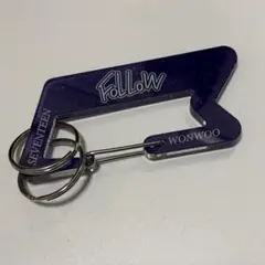 SEVENTEEN ウォヌ キーリング